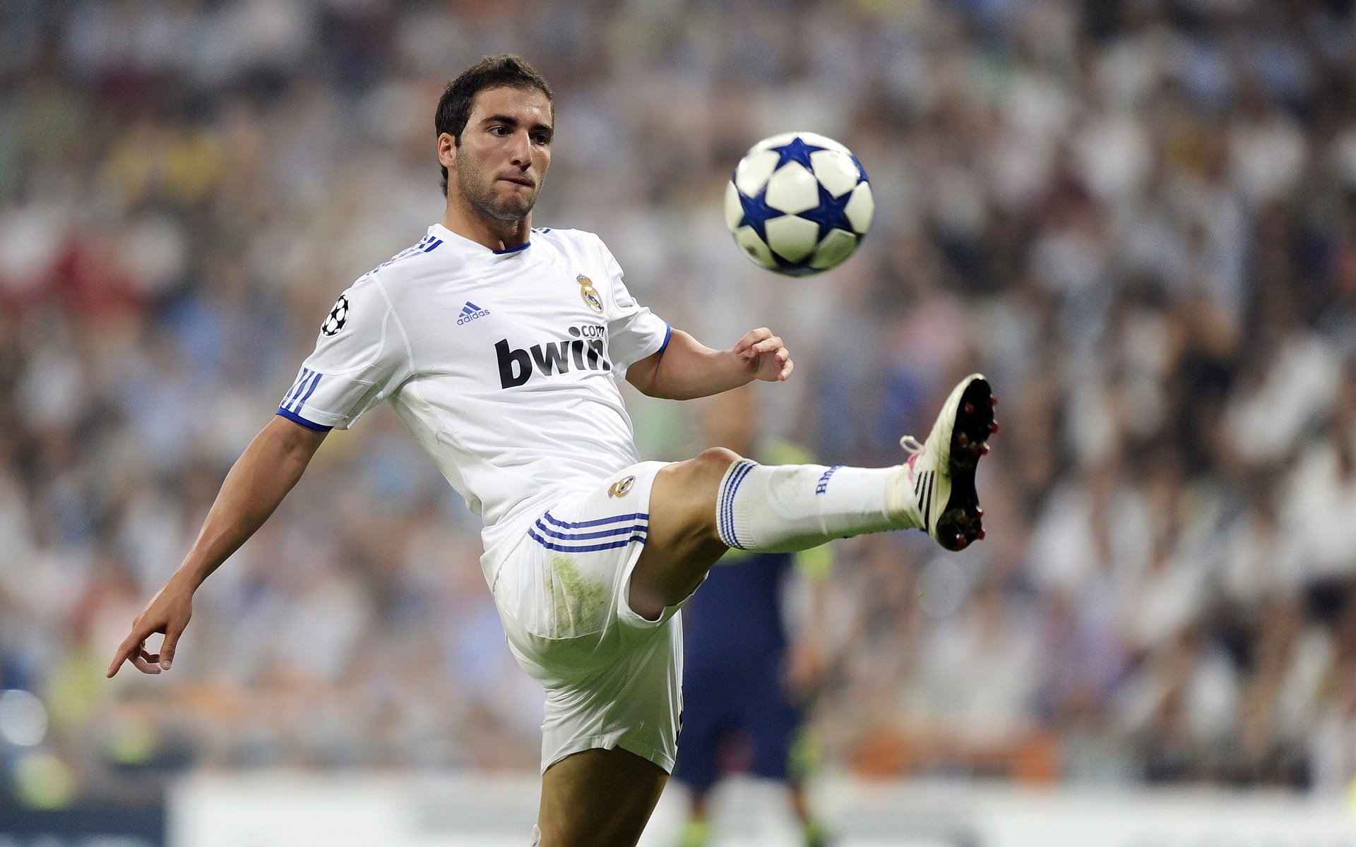 _舞动青春：国际舞蹈运动展现激情与力量_，舞动青春中国舞