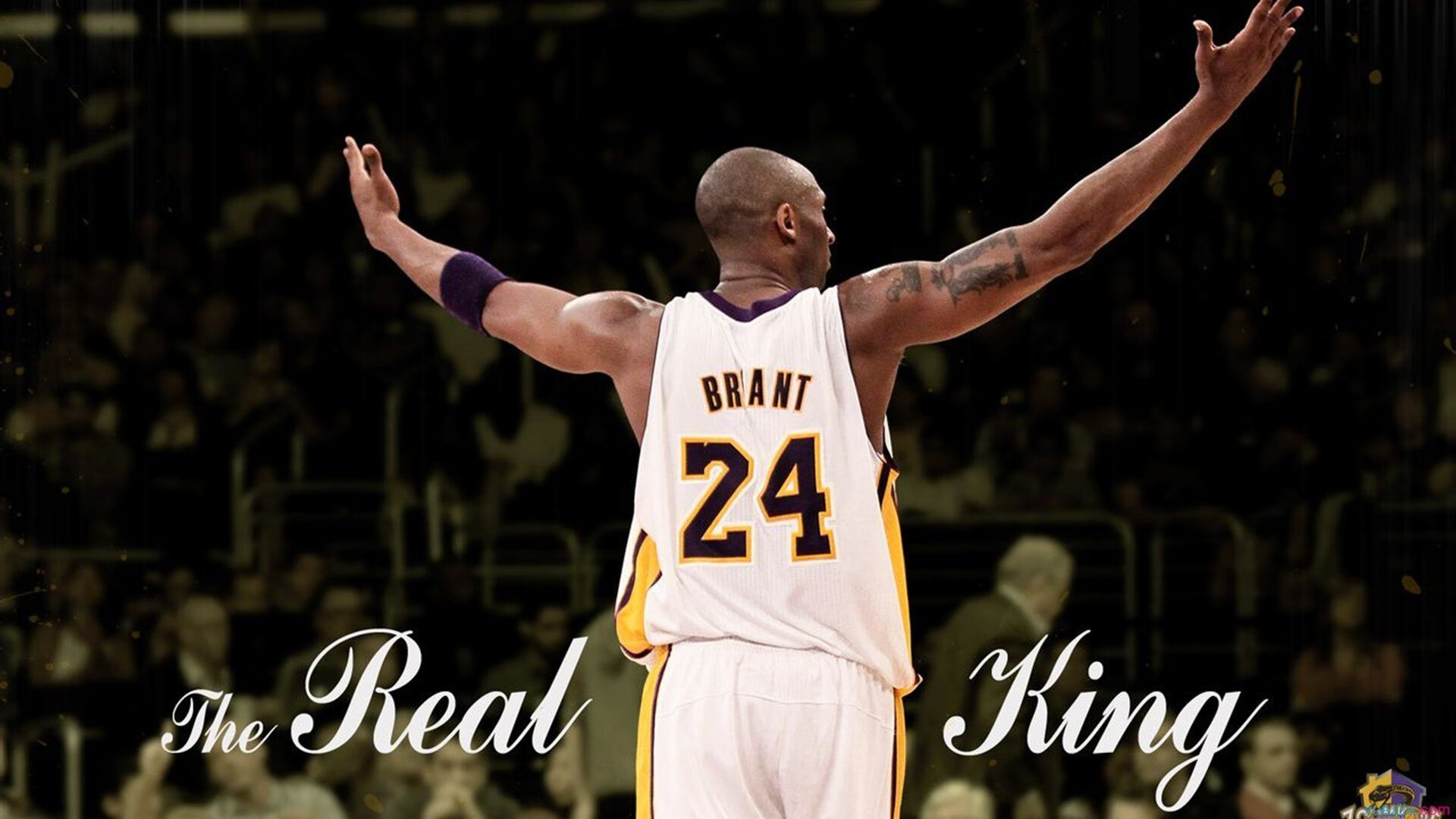 【直播评论互动】球迷热情助推比赛氛围，球迷分享